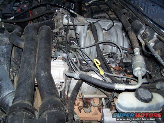 1992 Ford Bronco engine bay with V8 engine, dual intake hoses, and brake fluid reservoir