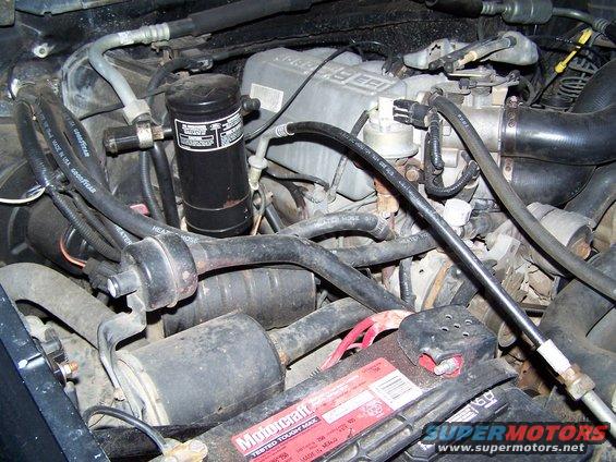 Engine bay with Motorcraft battery and various hoses and components