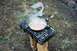 1979 Ford Bronco - A meal is being prepared outdoors on a makeshift grill setup.