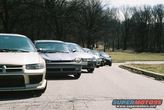 Several cars parked in a line on a paved surface with trees in the background