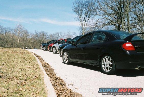 Black Dodge Neon SRT-4 with a rear spoiler, parked in a line of cars