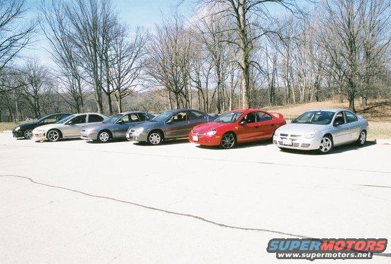 Several Dodge Neons parked in a line outside on a sunny day