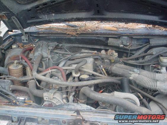 1988 Ford Bronco engine bay with hood open, showing engine components and wiring