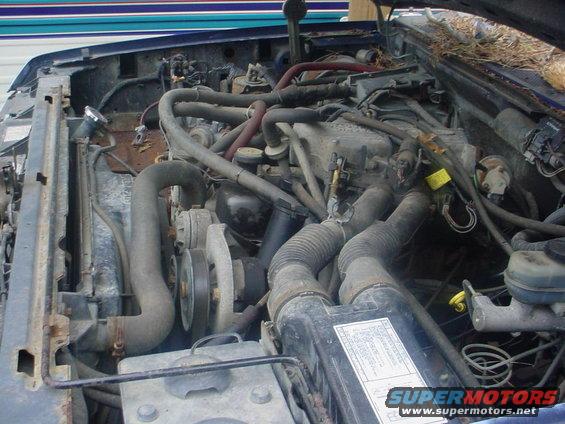 engine bay of a blue vehicle, showing hoses, belts, and engine components. Some debris is visible on top