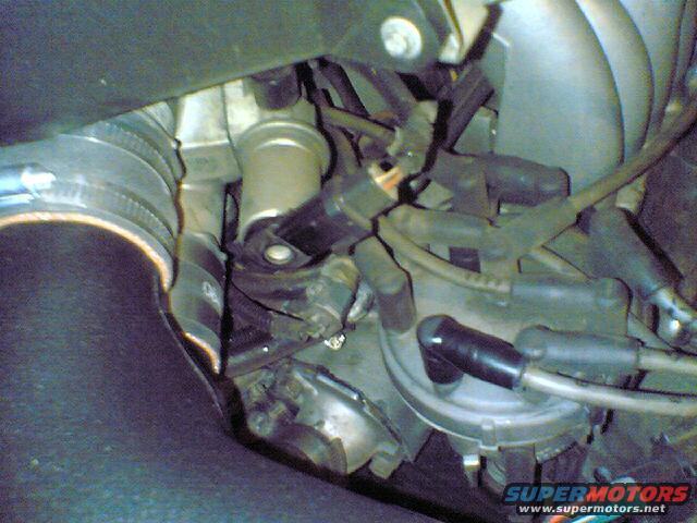 Engine bay close-up of distributor cap and spark plug wires