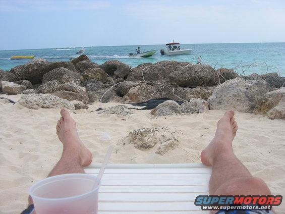 img_1520.jpg 