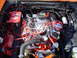 1981 Ford Bronco - Customized V8 engine bay chrome components, dual Optima batteries, and MSD ignition system.