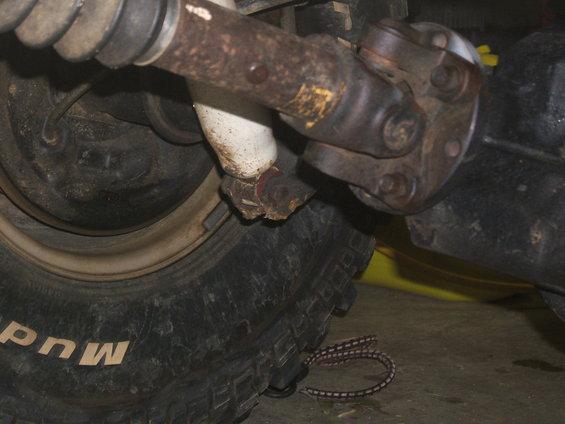 Damn stock shock mounts