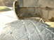 1991 Ford Bronco - The underside of a vehicle, focusing on the tire and frame structure, reveals signs of age and use.