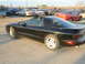 1981 Ford Mustang - A black sports car is parked in a lot with other vehicles under a bright sky.
