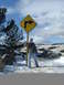 1989 Ford Bronco - A person poses with a directional road sign in a snowy, rural landscape.