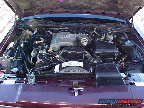 1991 Ford Crown Victoria LTD engine bay with 5.0L V8 engine visible. Hood is open