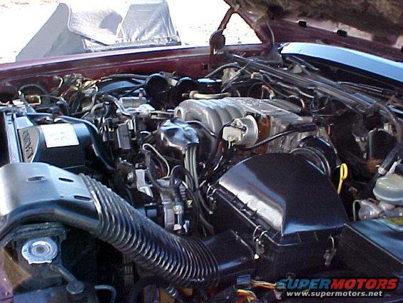engine bay with hoses and wiring visible
