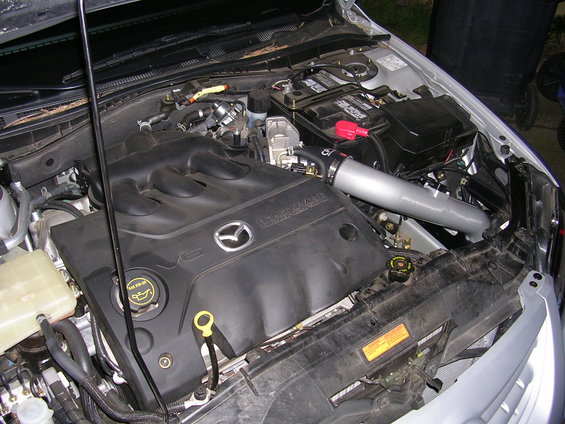 dscn2294.jpg 