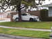 2005 Toyota Camry - A white sedan has crashed into a tree and a brick wall, sustaining significant front-end damage.