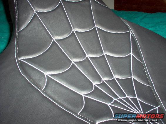 up close detail of webbing