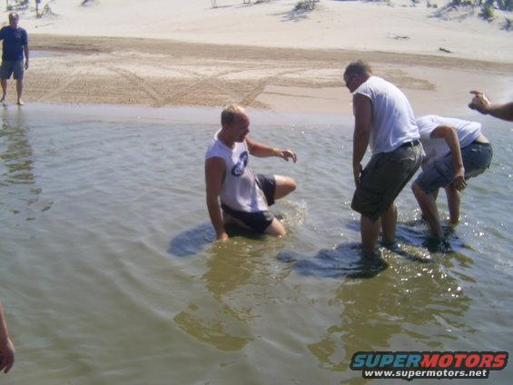 People wading in shallow water at a beach, with sand dunes in the background