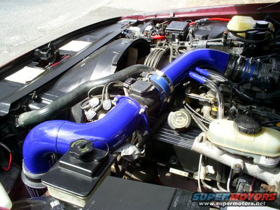 Engine bay with blue intake piping and a 1995 Ford Crown Victoria badge