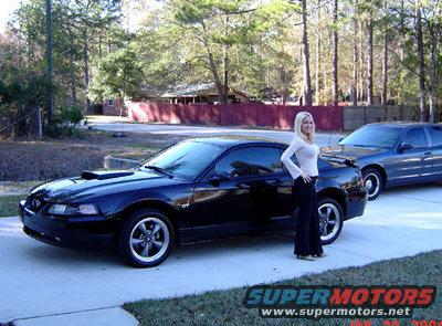 The Babes..small