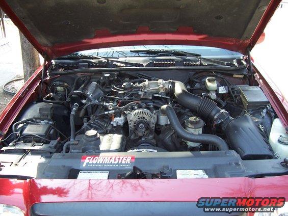 Red 1999 Ford Crown Victoria engine bay with Flowmaster sticker