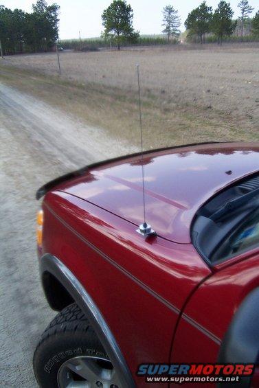 picture-039.jpg 