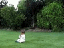 baby in white outfit sitting on green grass in front of trees