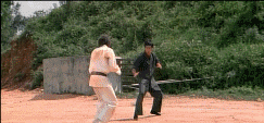 ownedbruceleeballs.gif 