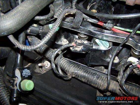 Engine wiring harness with Motorcraft component visible