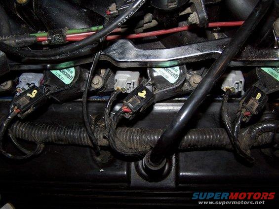 Engine wiring harness with Motorcraft ignition coils and connectors. Some connectors are labeled with numbers