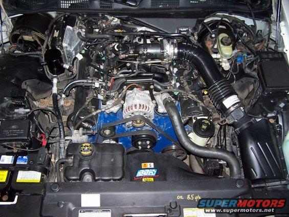 2000 Ford Crown Victoria engine bay with V8 engine, air intake, and coolant reservoir visible