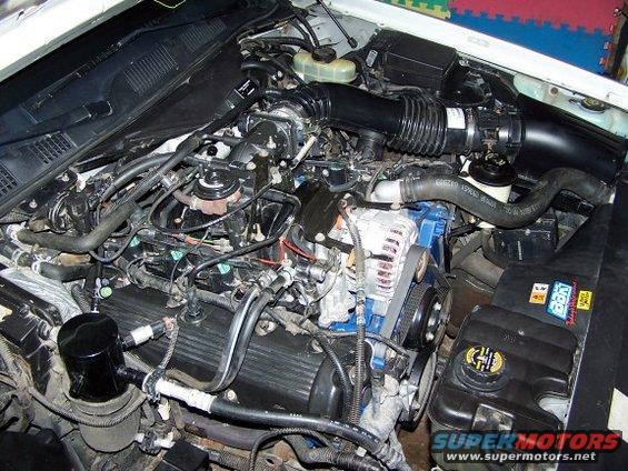 engine bay with hoses, wires, alternator, and air intake system