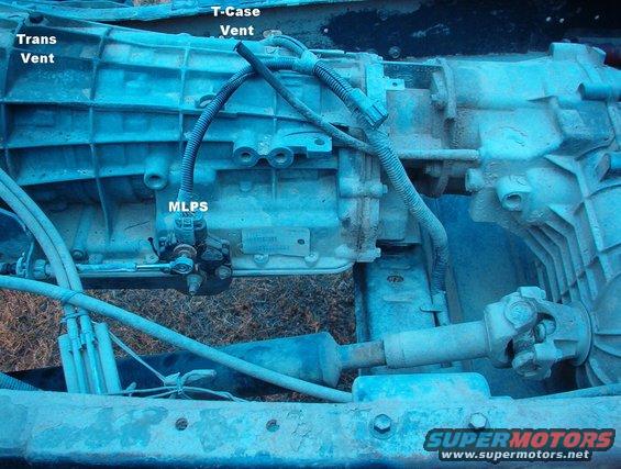 Close-up of a vehicle's transmission and transfer case with labels pointing out the MLPS, Trans Vent, and T-Case Vent