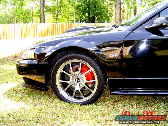 bikini-day2-002-copy.jpg Rims....