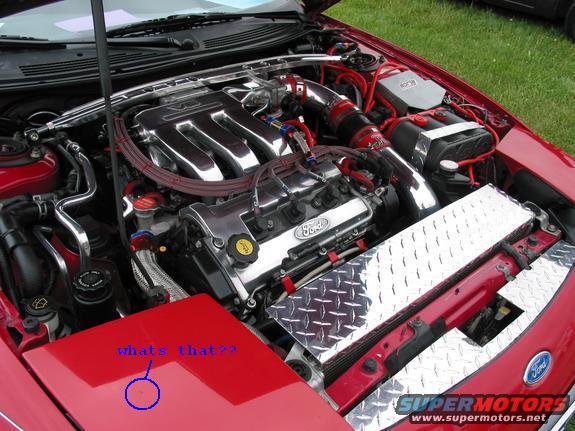 224921547_l.jpg shouldnt ask me to find dirt lol