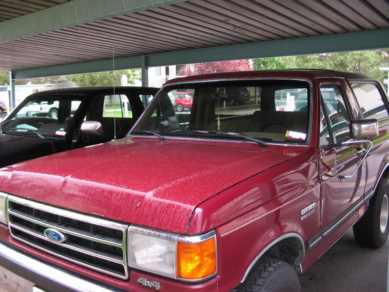 bronco-002.jpg 