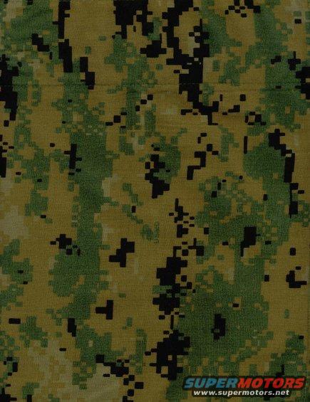 marpat001.jpg 