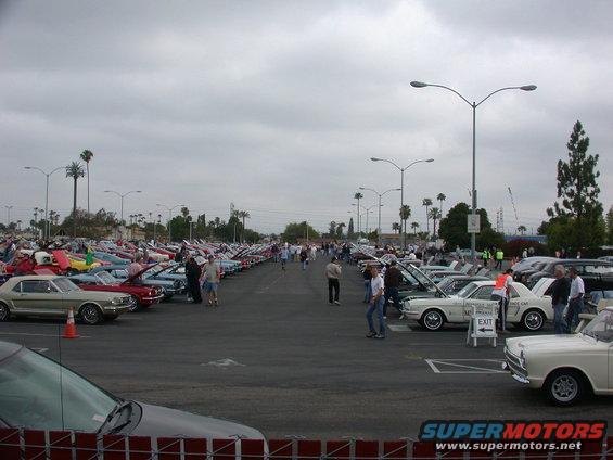 scpoc_005.jpg Miles of Mustangs...