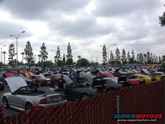 scpoc_009.jpg New mustangs...