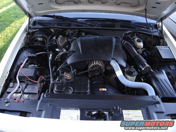 2000 Ford Crown Victoria engine bay with V8 engine, battery, and air intake visible