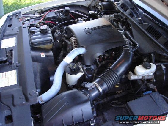 Engine bay with black air intake and coolant reservoir