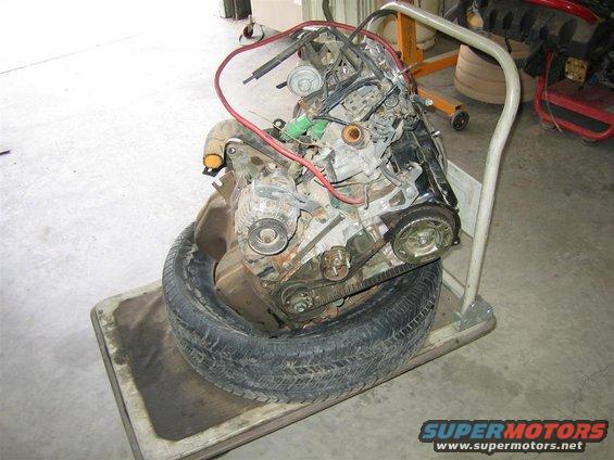 img_0806-(large).jpg Fresh pull