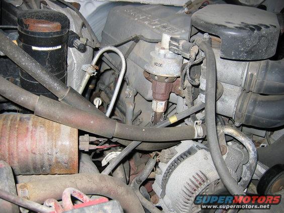 Engine bay detail showing alternator, fuel pressure regulator, and various hoses