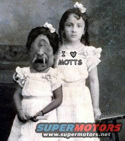 motts.jpg 