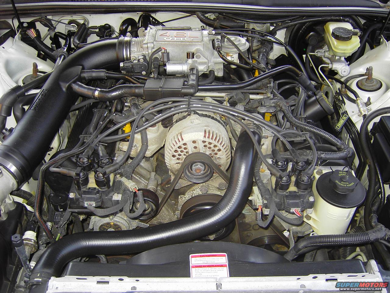 1996 Ford Thunderbird photo