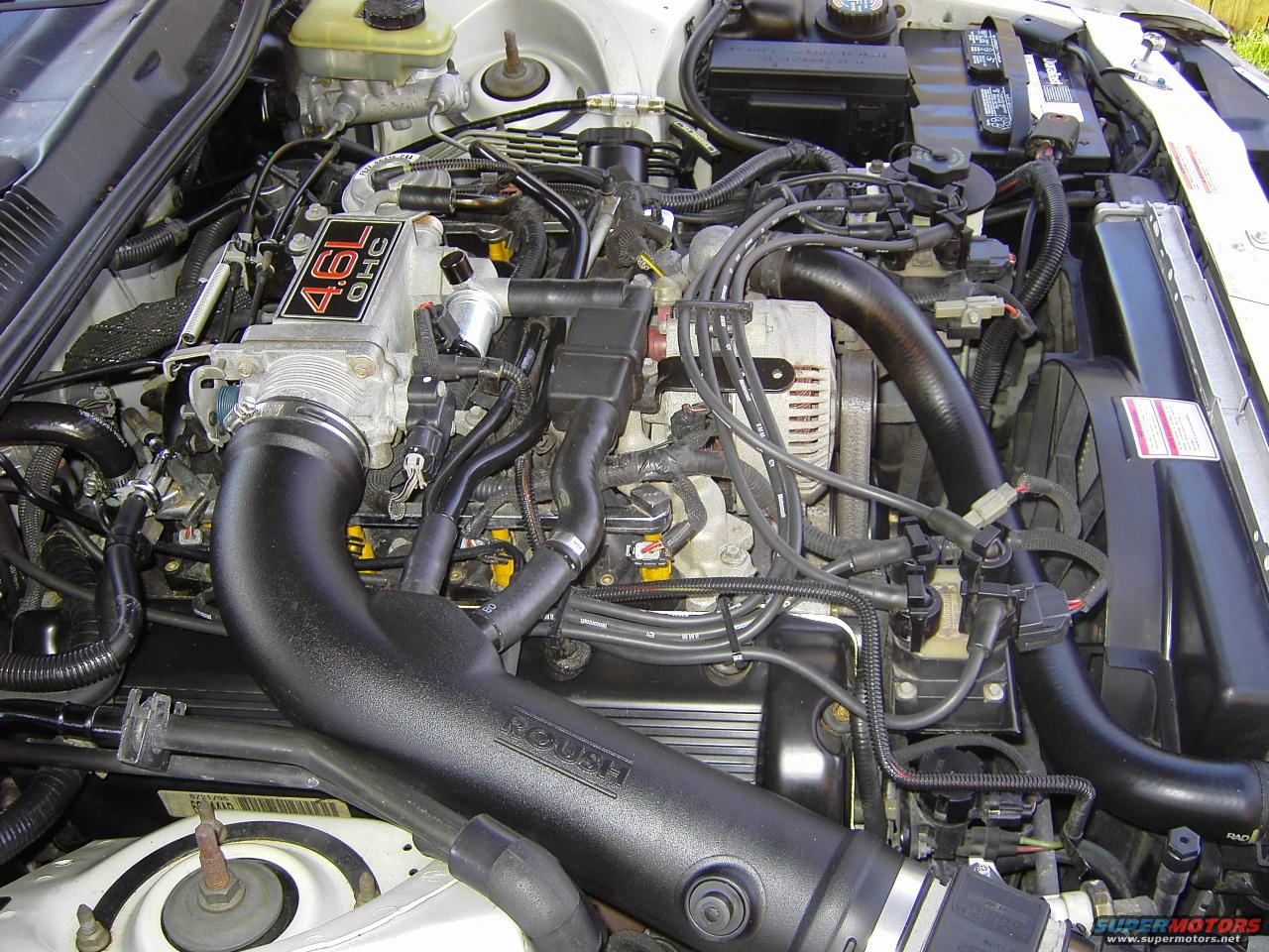 1996 Ford Thunderbird photo