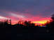1995 Ford Probe - Vibrant sunset paints the sky over a desert landscape with silhouetted trees and a small building.