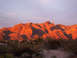 1995 Ford Probe - Desert mountains glow orange and pink under a twilight sky, with scrub brush in the foreground and a website URL at the bottom right.