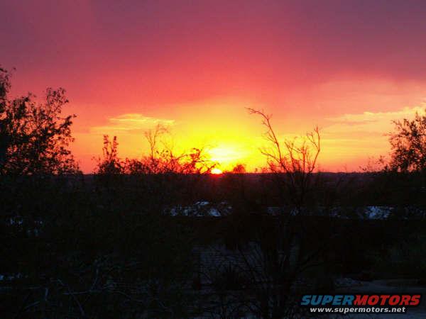 sunset with vibrant orange and pink sky over silhouetted desert brush and trees. Supermotors.net logo in lower right