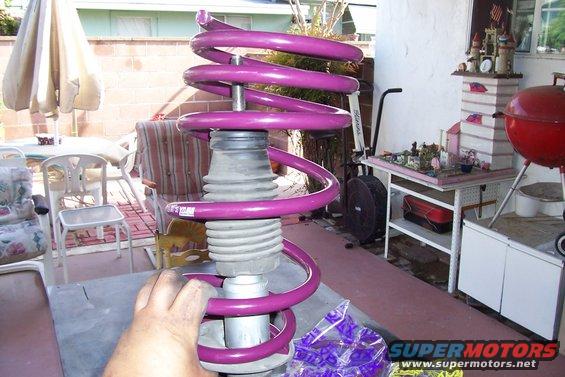 Purple coilover suspension part held by a hand, with a backyard scene in the background