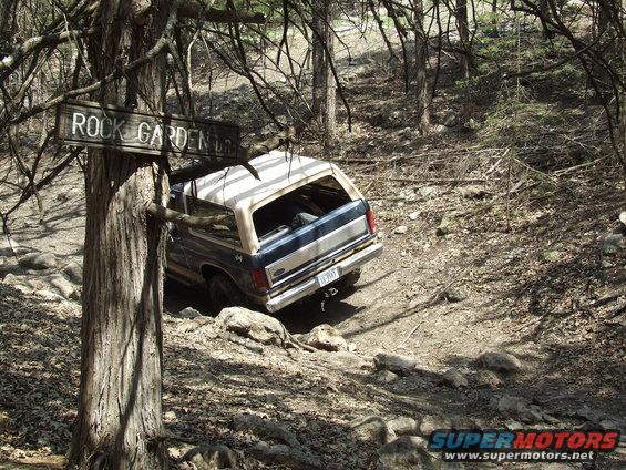 Blue and tan Ford Bronco navigating a rocky, wooded trail